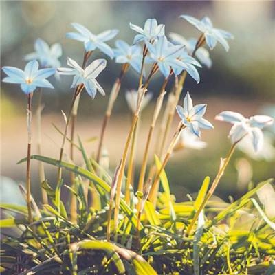 天健棋牌手机app下载