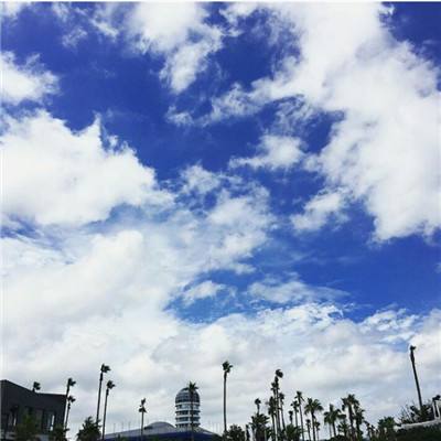 完美365体育ios下载