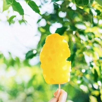 金星棋牌手机app下载